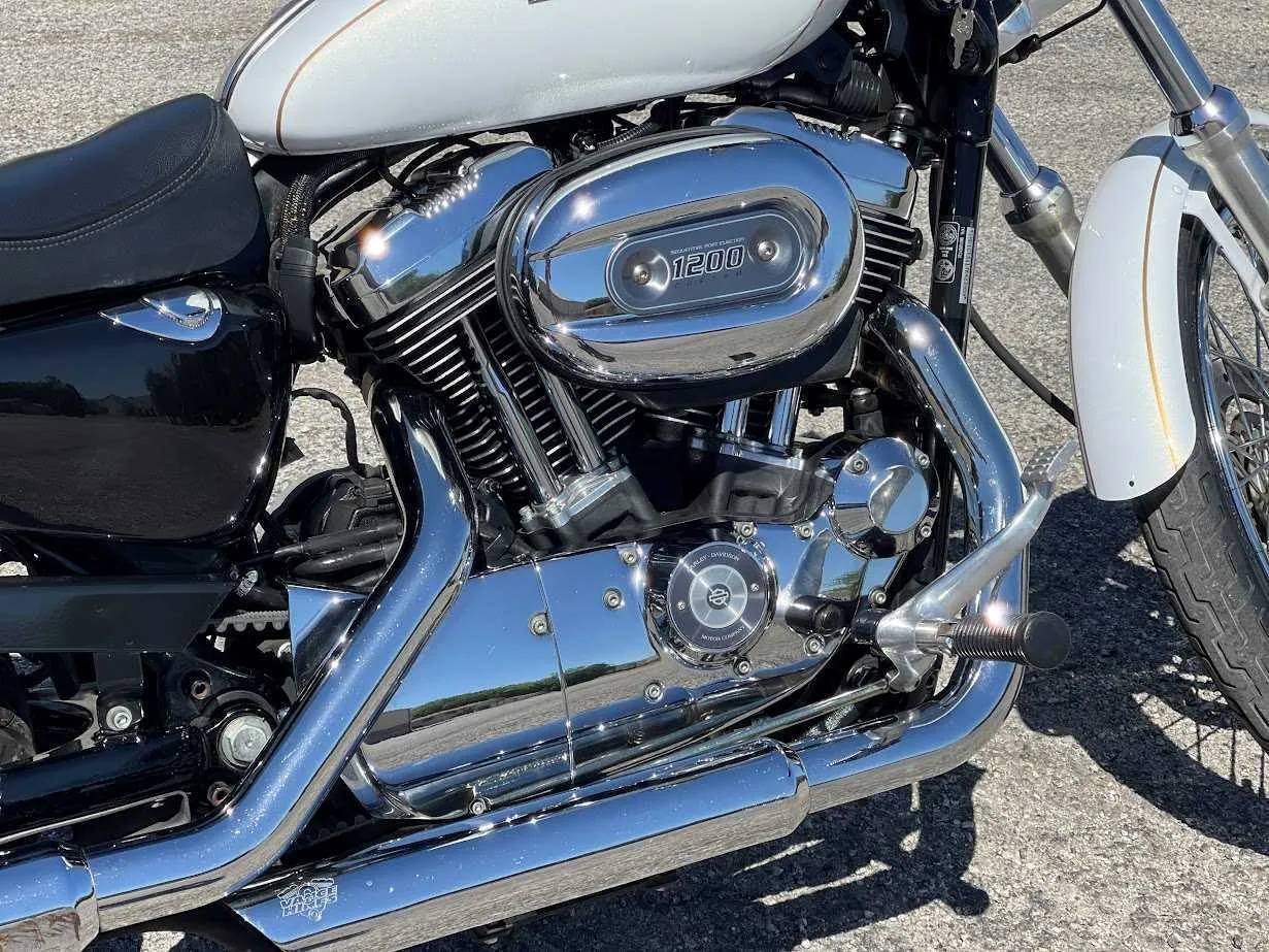 Used 2007 Harley-Davidson XL1200 Custom in stock color, side profile, at The Motorcycle Shop San Antonio