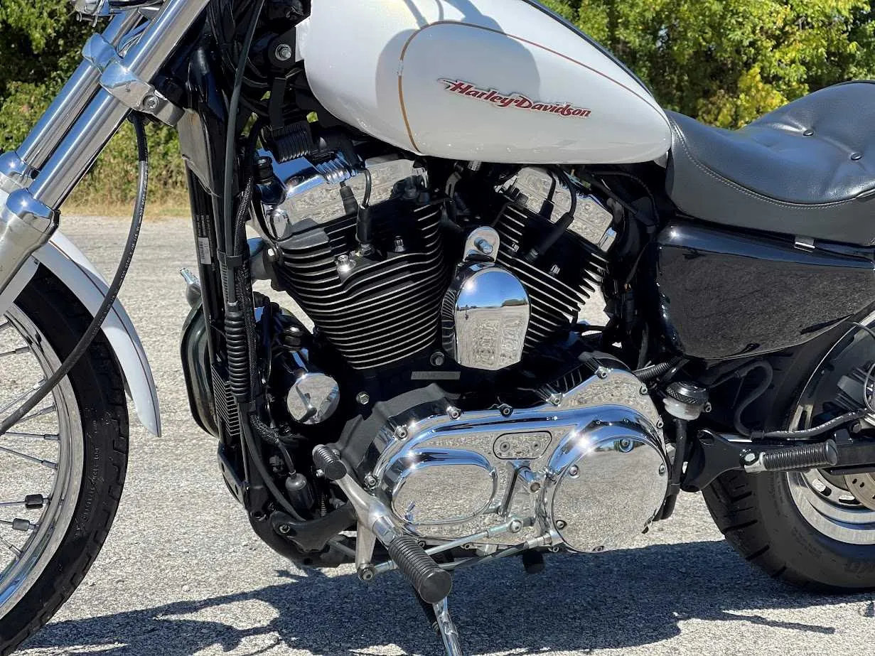 2007 Harley Davidson XL1200 Custom, motorcycle detail photo 7, for sale in San Antonio