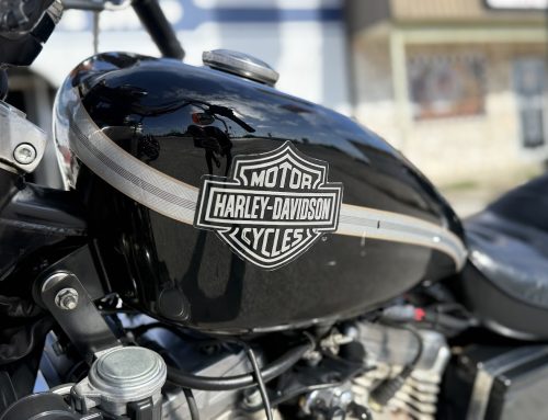 1994 Harley Davidson 883 Sportster