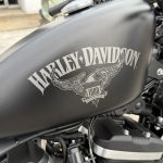 2016 Harley Davidson 883 Sportster “Iron Edition” - Photo 6