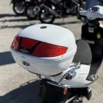 2009 Genuine Scooter Buddy 125 - Photo 7
